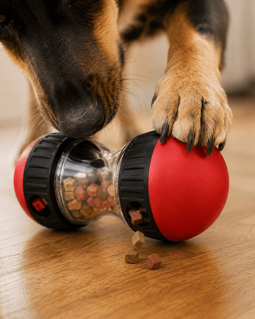 Adjustable Treat Dispensing Puzzle Ball for Dogs